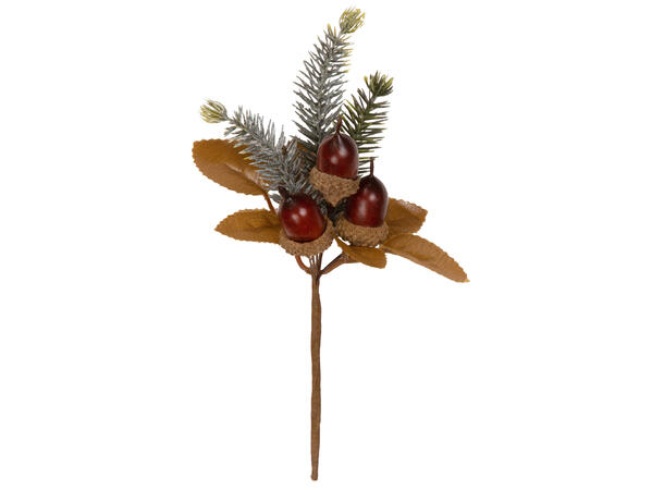 Kvist eikenøtter brune blader 17x10cm