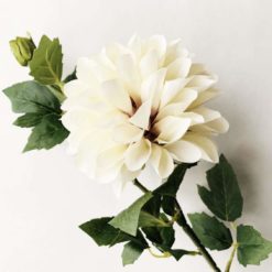 Trend Design DAHLIA 66 cm creme
