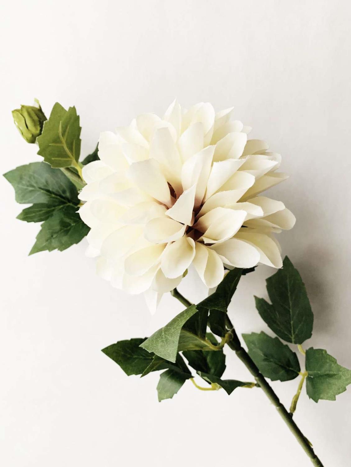 Trend Design DAHLIA 66 cm creme
