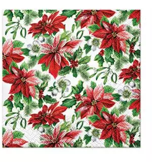 BC Paw Kaffe serviett Glory Poisettia