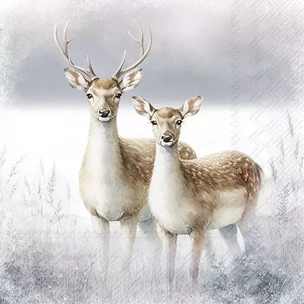 Ihr Servietter Lunch 33x33 cm, MAGIC WINTER DEERS