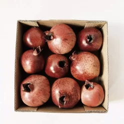 Trend Granatepler i boks 15x15 cm 9 stk.