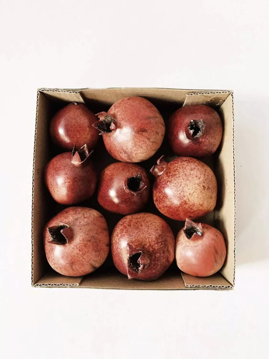 Trend Granatepler i boks 15x15 cm 9 stk.