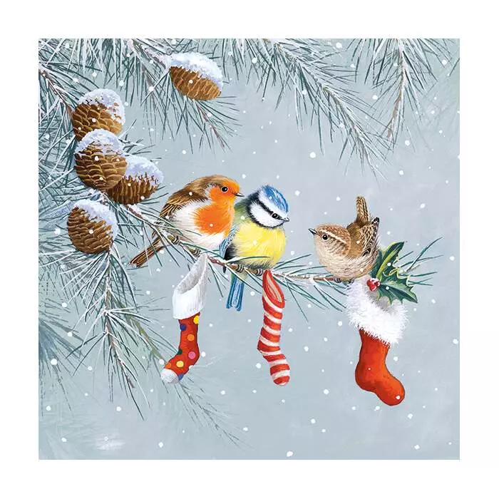 Serviett Lunsj Christmas socks