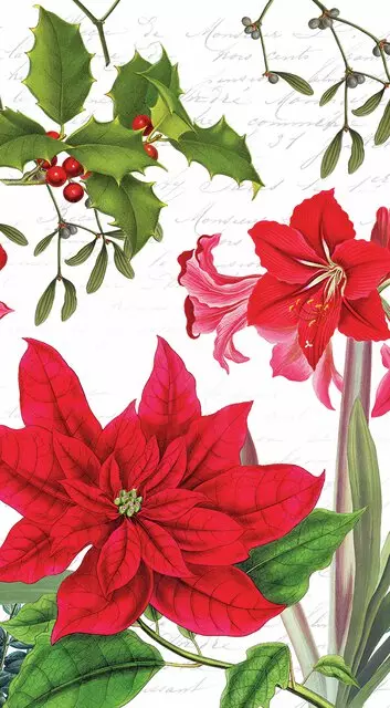 Ambiente Buffet Servietter Christmas plants white