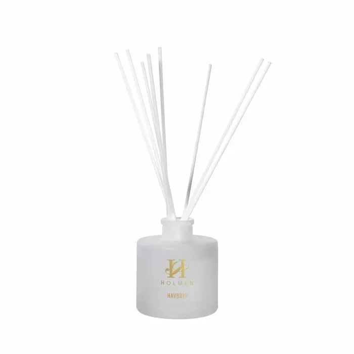 LUMIERE Duftpinner Havpris