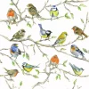 Ambiente servietter Lunch 33x33 cm, Birds Meeting