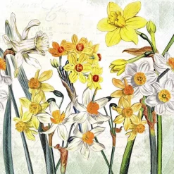 Ambiente servietter Lunch 33x33 cm,Narcissus