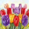 Ambiente servietter Lunch 33x33 cm, Colourful Tulips