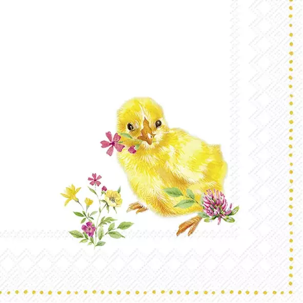IHR Servietter Kaffe 25x25 CHICKS