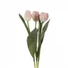 Mr Plant Tulipan ly sosa