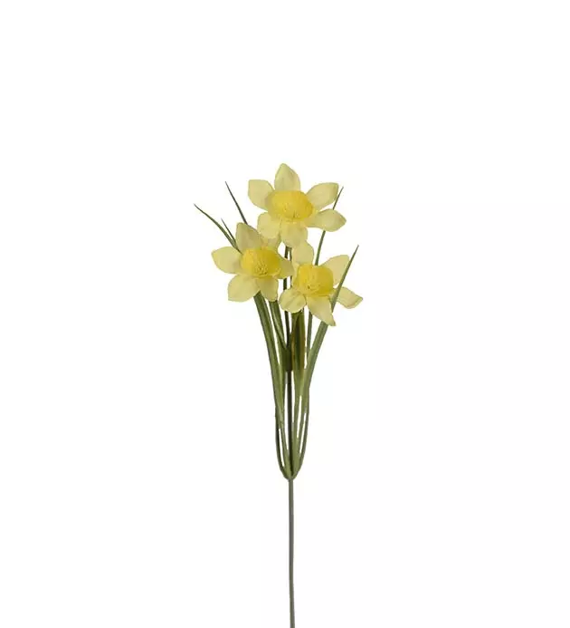 Mr Plant Påskelilje27 cm