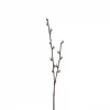 Mr Plant Gåsunge grein57 cm