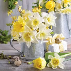 Ambiente Servietter Lunch DAFFODILS IN POT