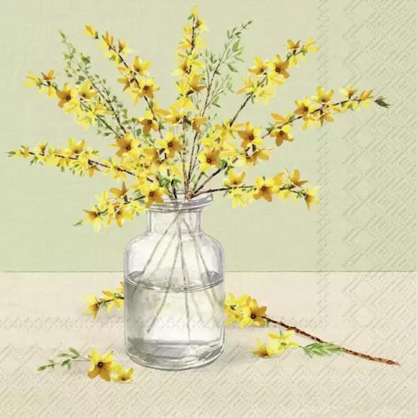 Ihr Forsythia kaffe