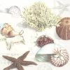 IHR lunchserviett 33x33cm, Clams at the beach