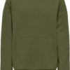 Lassie L/s hoddie, Winter moss