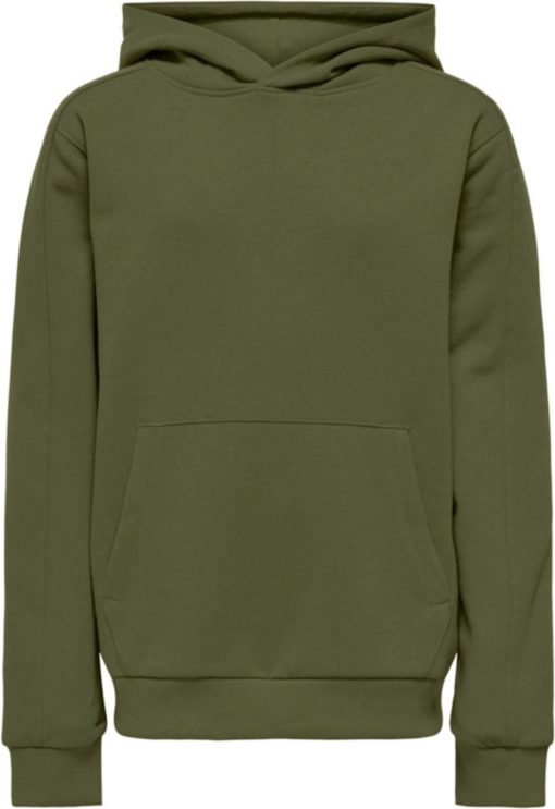 Lassie L/s hoddie, Winter moss