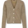 Ninna glitter knit, Pale Gould