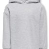 Fave ls hood sweat, Light Grey Melange