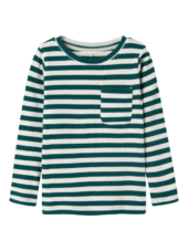 Dekab slim, Stripes Forest Biome