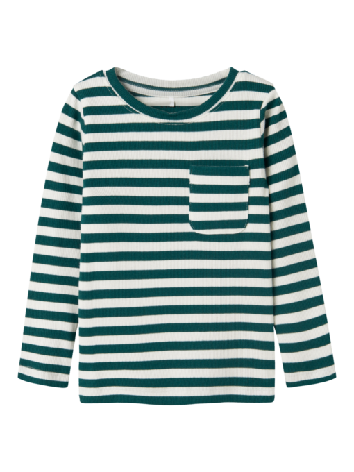 Dekab slim, Stripes Forest Biome