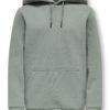 Ceres hoodie, Castor grey