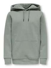 Ceres hoodie, Castor grey