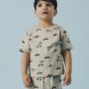Jivan nreg top, Island Fossil