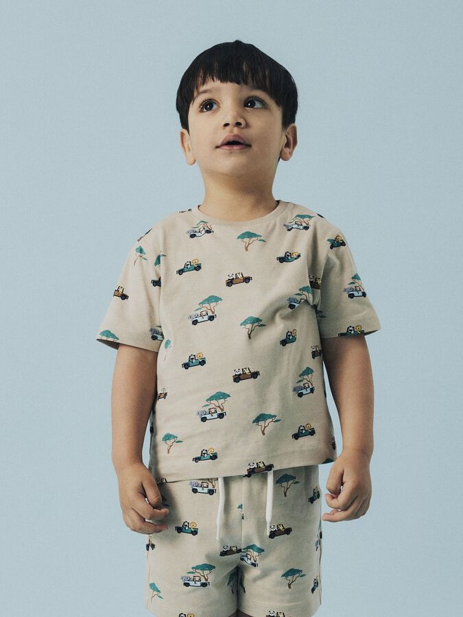 Jivan nreg top, Island Fossil