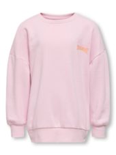 Phoebe life crew, Roseate Spoonbi