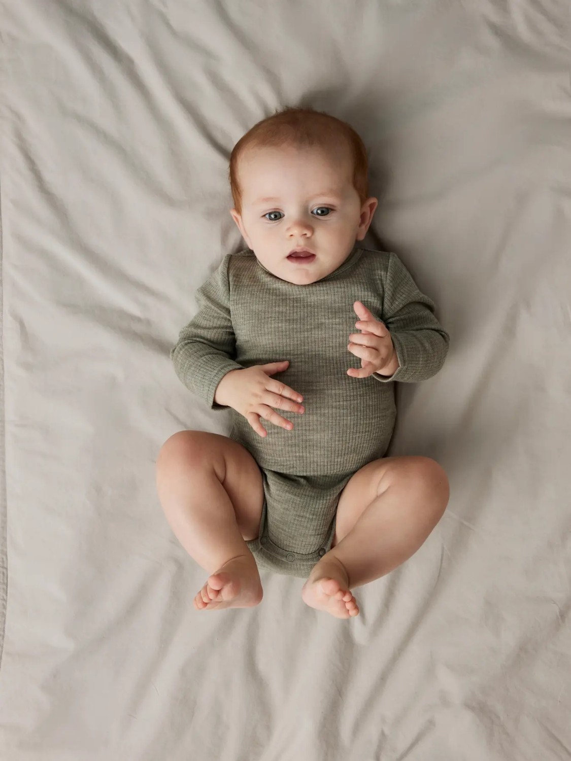 Wax wool rib, Dried Sage