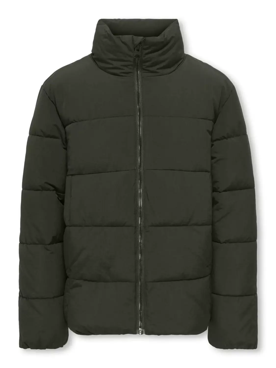 Global puffer, Rosin