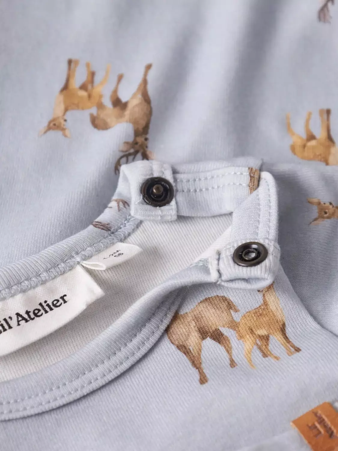 gallery-6420-for-13249714