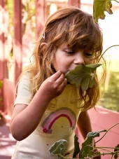 NMFdottas, Pear sorbet