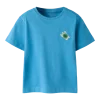 NMMfrank top, Cyaneus