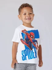 NMMajit Spiderman