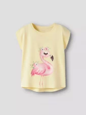 NMFvotia, Flamingo