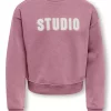 KOGsweat Studio, Foxglove