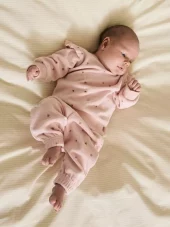 NBFnabiaya vel pant, Lotus
