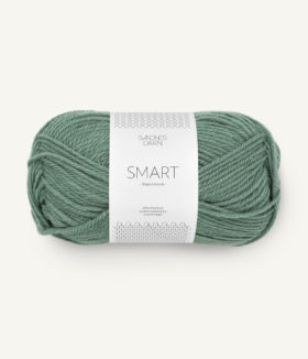 Smart 8051 Eukalyptus