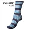 Cruise color 6201