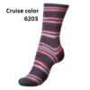 Cruise color 6203
