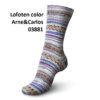 Lofoten color A&C 03881