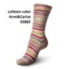 Lofoten color A&C 03882
