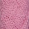 0479 Rosa