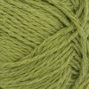 9564 Matcha