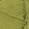 9564 Matcha