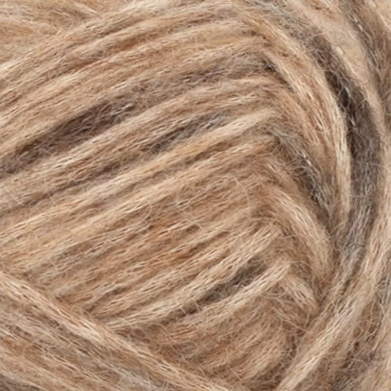 3400 Chocolate chip cookie