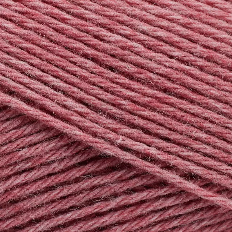 2010 Strawberry ice cream